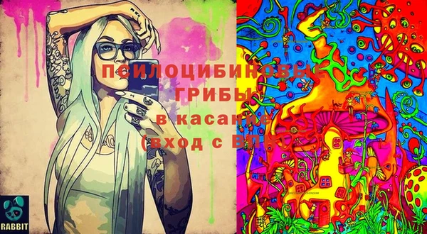 МДПВ Навашино