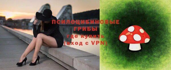 МДПВ Навашино