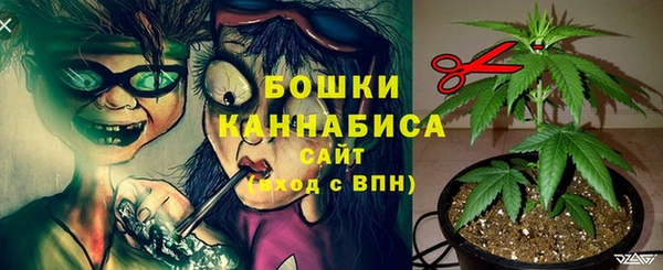МДПВ Навашино