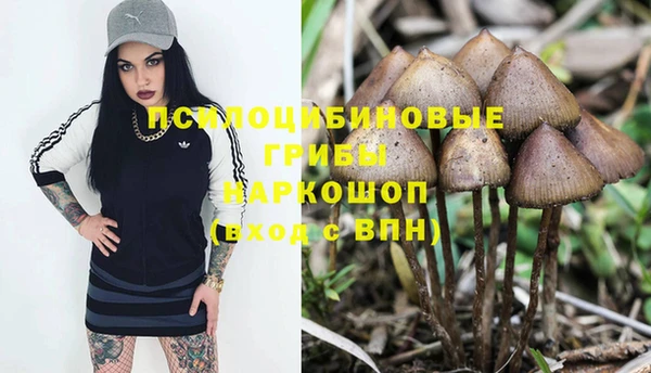 кокс Надым