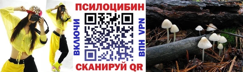 Галлюциногенные грибы мицелий где найти Ядрин